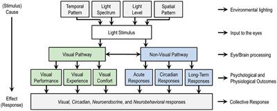 Human-Centric Lighting: Foundational Considerations and a Five-Step Design Process